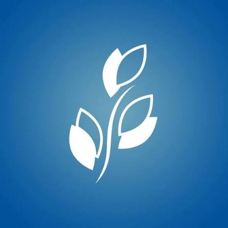 Brookdale Mentor logo