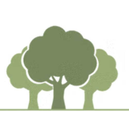 The Branches and Meadows logo