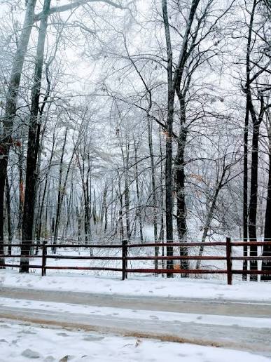 Bethesda Ranch