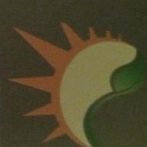 Sunny Side Senior Care logo